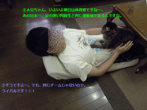 c0136736_175491.gif
