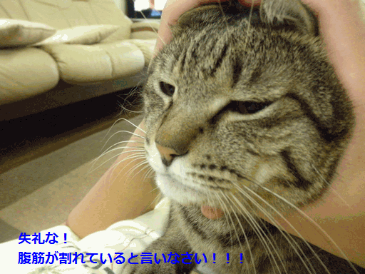 c0136736_17551980.gif