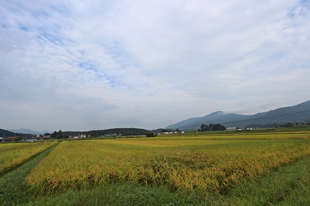 a0242438_1932404.jpg