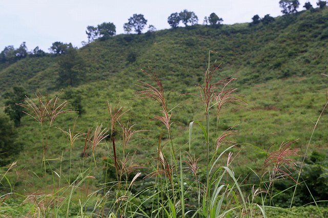 a0242438_19382468.jpg