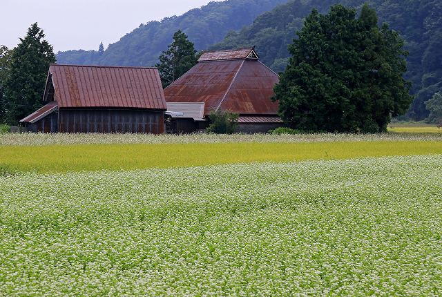 a0242438_193892.jpg