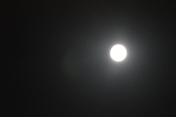 a0114842_12313455.jpg