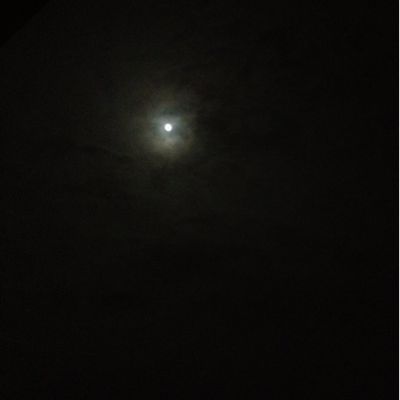 c0214545_1191131.jpg
