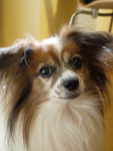 e0100046_20912100.jpg