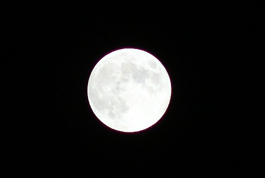 d0131847_18225332.jpg