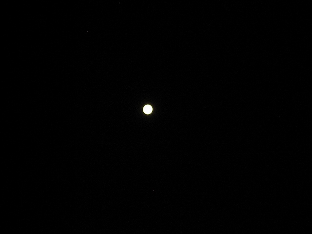 d0131847_1824972.jpg