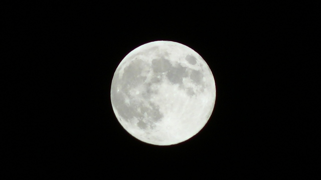 d0131847_18251537.jpg