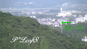c0176651_1162266.gif