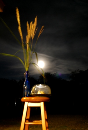 b0086858_15564567.jpg