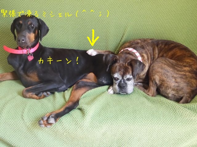 f0177261_0253077.jpg