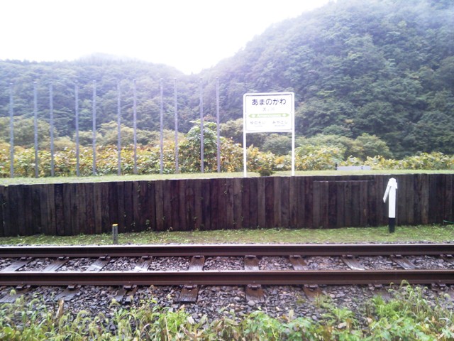 f0131165_23464381.jpg