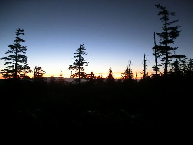 b0178466_10291449.jpg