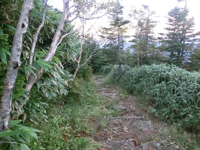 b0178466_1029368.jpg
