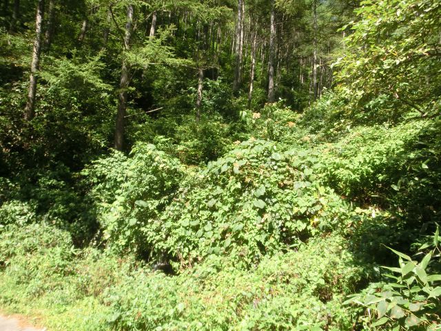 b0178466_10313378.jpg