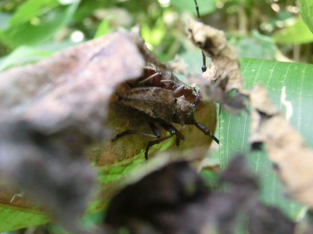 b0178466_10332034.jpg