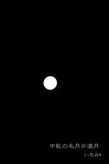 f0200568_11502982.jpg
