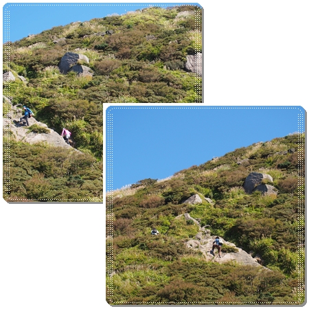 c0042869_2222397.jpg