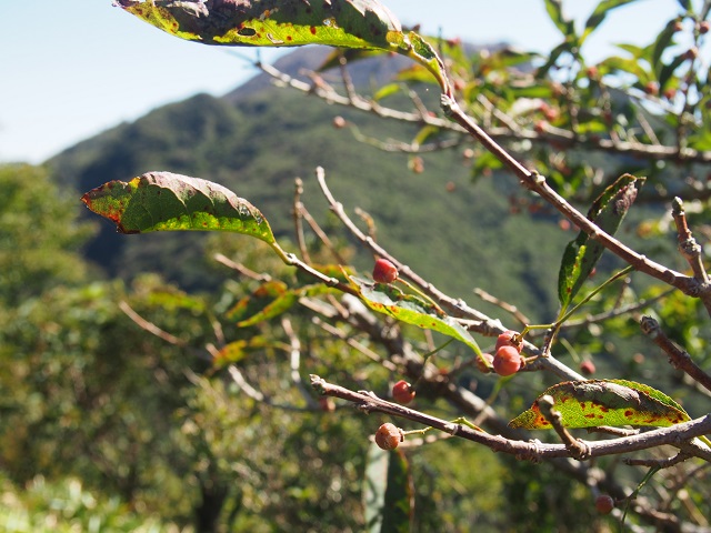 c0042869_2281682.jpg