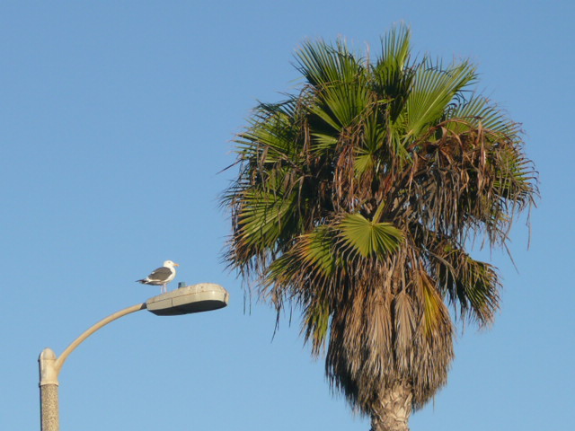 a0154870_12314131.jpg