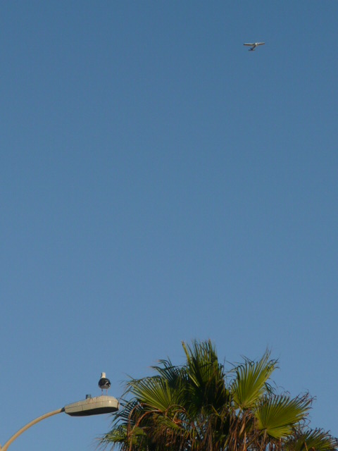 a0154870_12321115.jpg