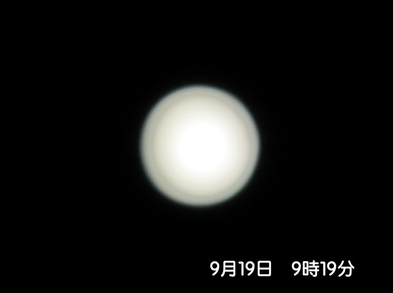 f0003174_1547361.jpg
