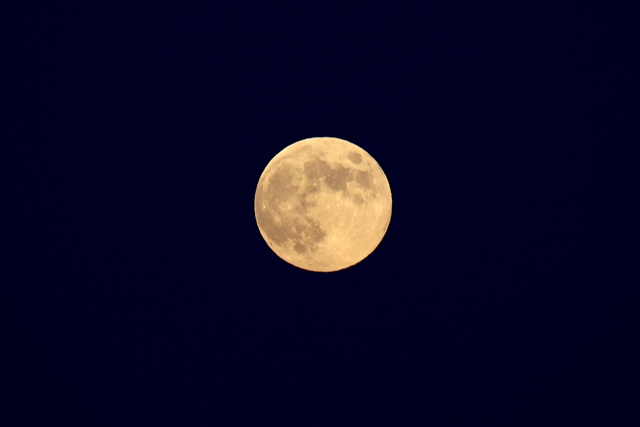 d0126577_2148945.jpg