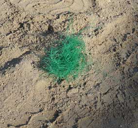b0057679_857754.jpg