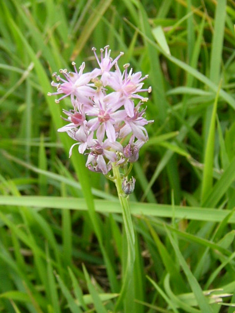 e0145782_164110100.jpg