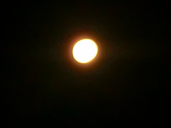 a0109288_9543294.jpg