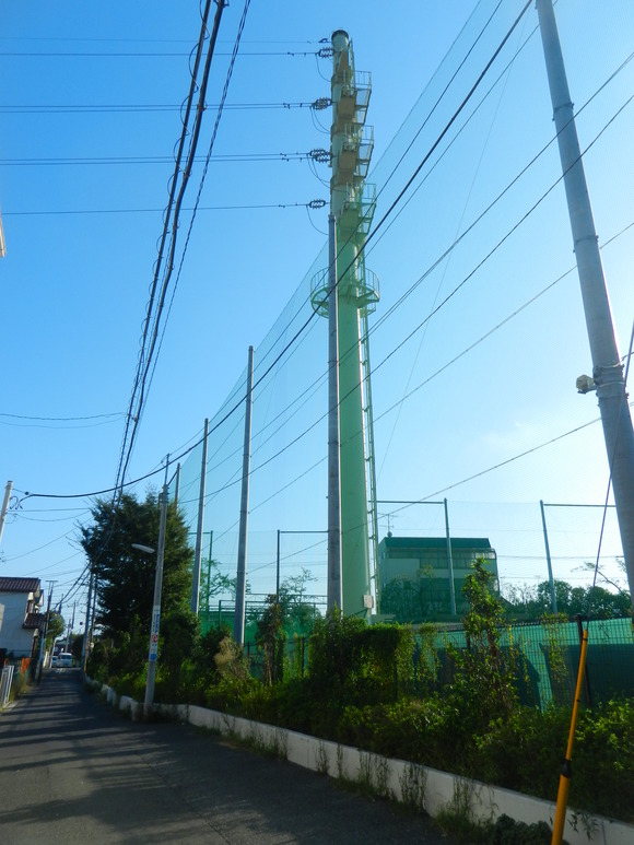 d0224990_20584140.jpg