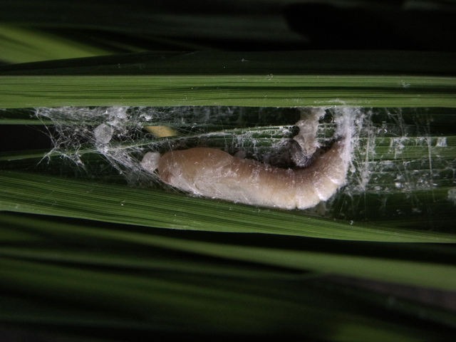 b0194593_9161627.jpg