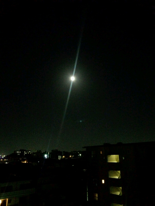 a0282294_1652145.jpg