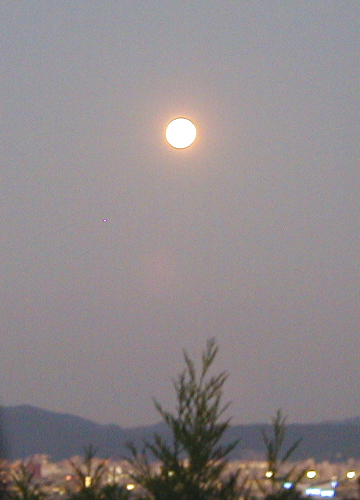 d0053294_059140.jpg