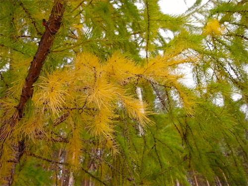 e0250594_20153984.jpg