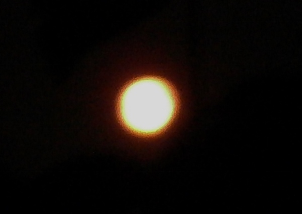 d0000995_21563650.jpg
