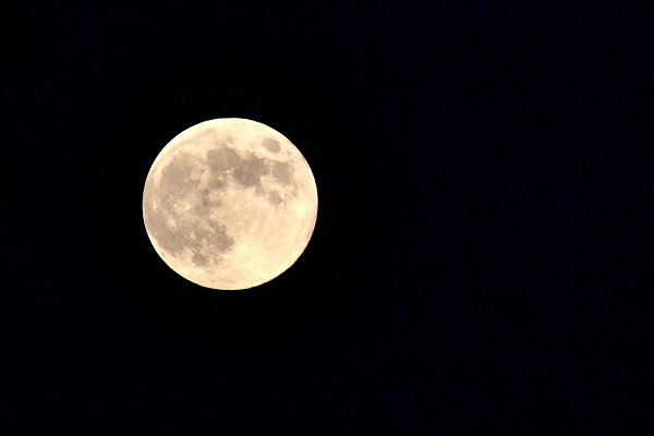 c0119197_631175.jpg