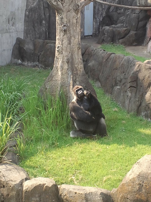 e0190900_372798.jpg
