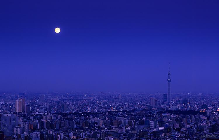 c0072801_2405382.jpg