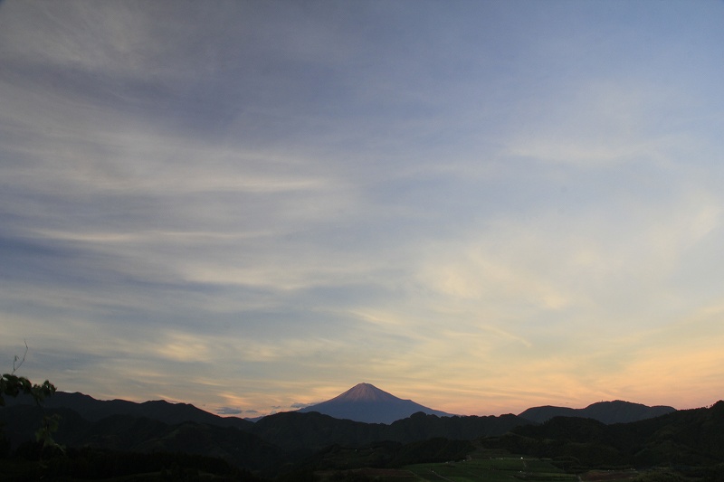 a0188405_1295167.jpg