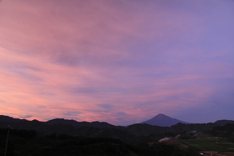 a0188405_1315537.jpg