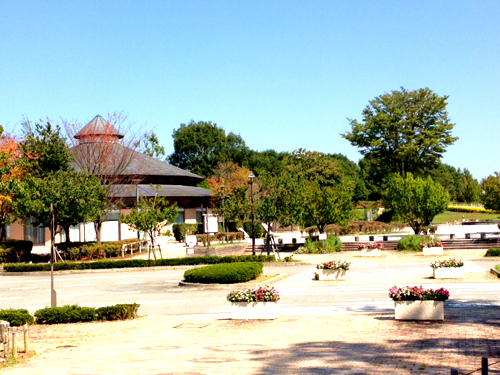 f0167611_0365322.jpg