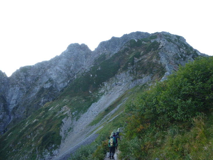 d0170615_74826.jpg