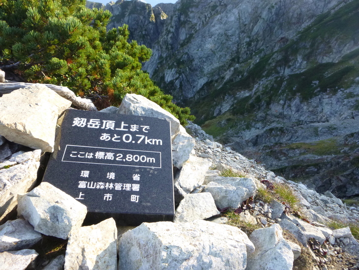 d0170615_750041.jpg