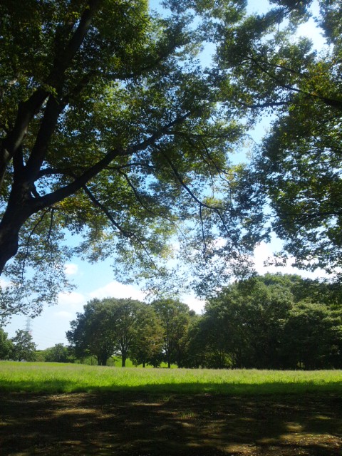 b0150018_2013954.jpg