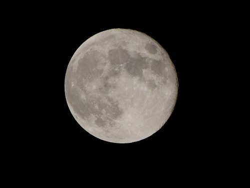 b0000829_5103244.jpg