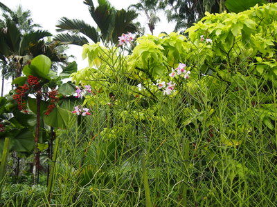 c0103830_16113094.jpg