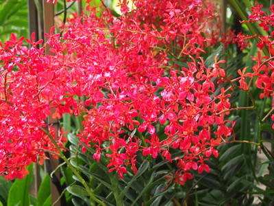 c0103830_16132213.jpg