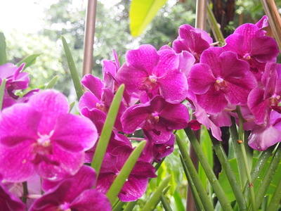 c0103830_16135171.jpg