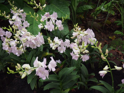 c0103830_16174893.jpg