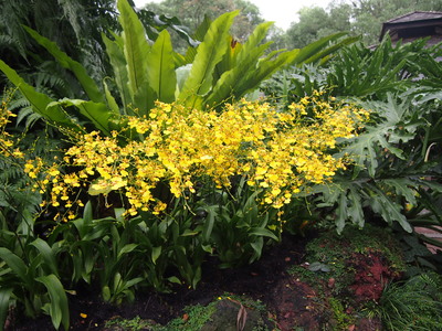 c0103830_1664988.jpg